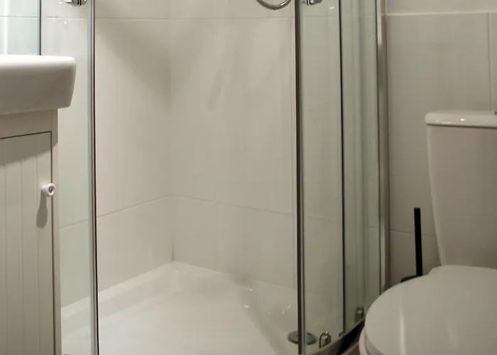 Elektoralna Lejlighed *